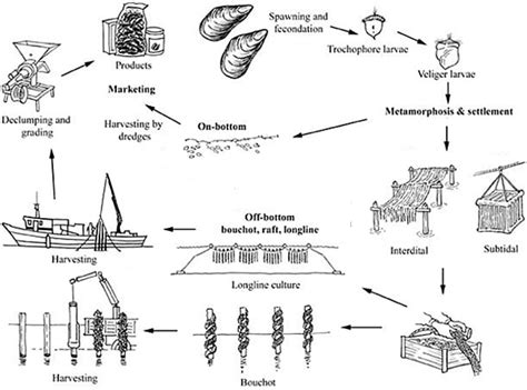 Sources, Quantities and Cultivation Methods .